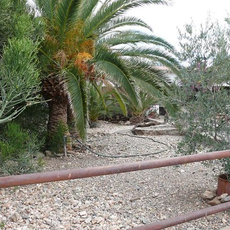 Rooiklip Camp Flintstone Apartment Exterior photo